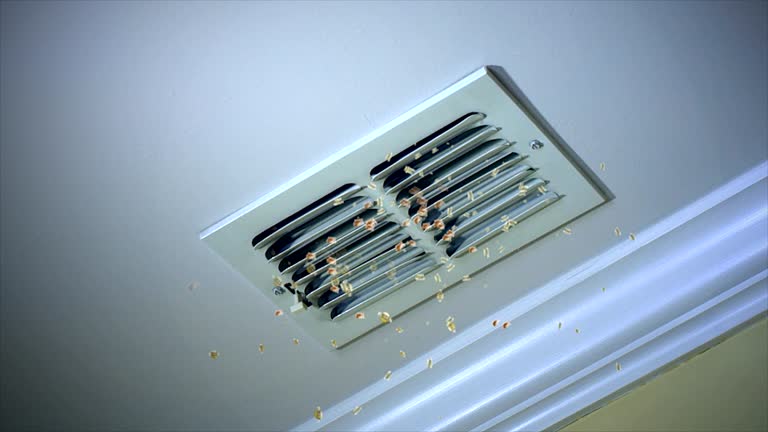 Best Dryer Vent Cleaning Services  in Texarkana, TX