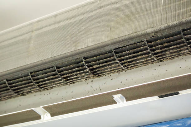 Best Local Air Duct Cleaning Services  in Texarkana, TX